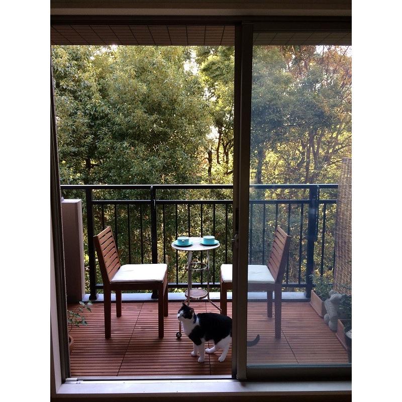 ウッドデッキ匠 すのこデッキ 30cm 60cm 厚み4cm 6枚セット チーク色 ベランダ ガーデニング 天然木製 日本製 W005 3 Willベランダガーデン 通販 Yahoo ショッピング