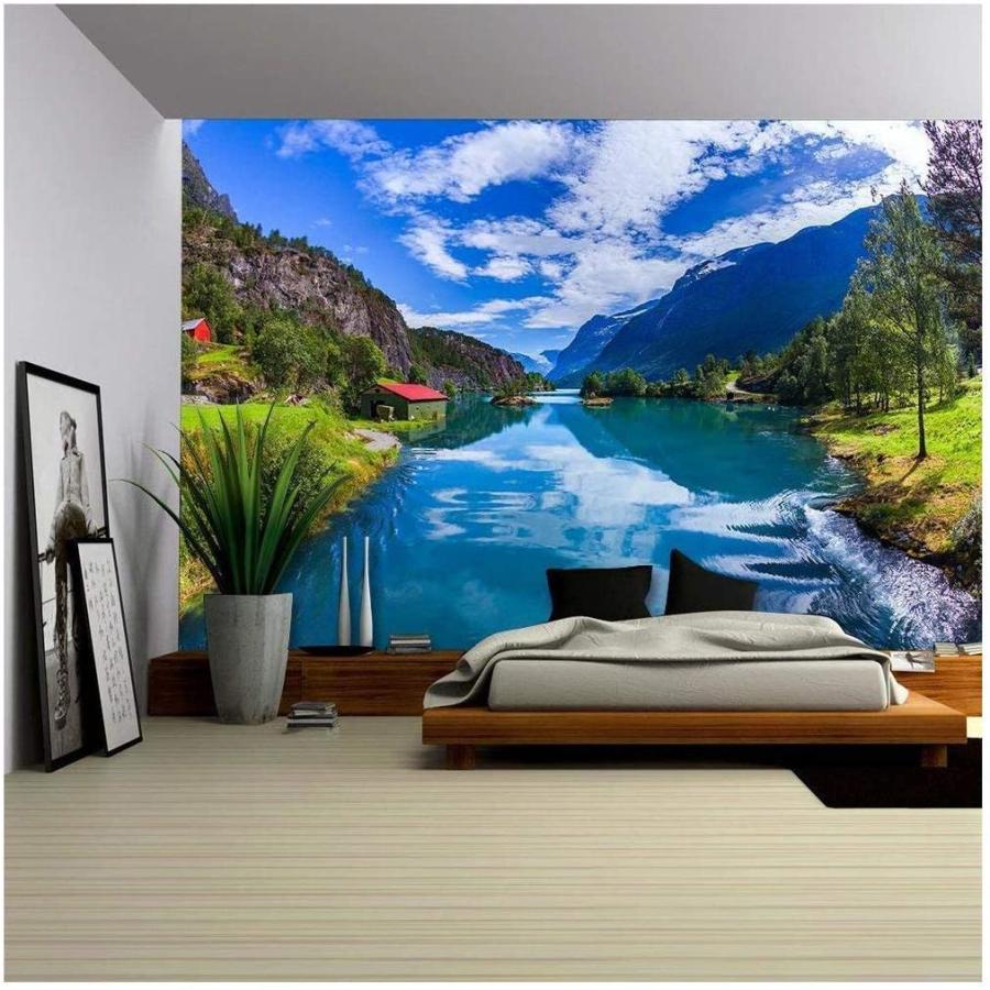 翌日発送可能 ウォールペーパー 壁紙 美しい自然ノルウェーの自然風景 ロヴァトネット湖 取り外し可能な壁の壁画 自己粘着性の大きな壁紙 100x144インチ 並行輸入品 ウォールステッカー Raffles Mn