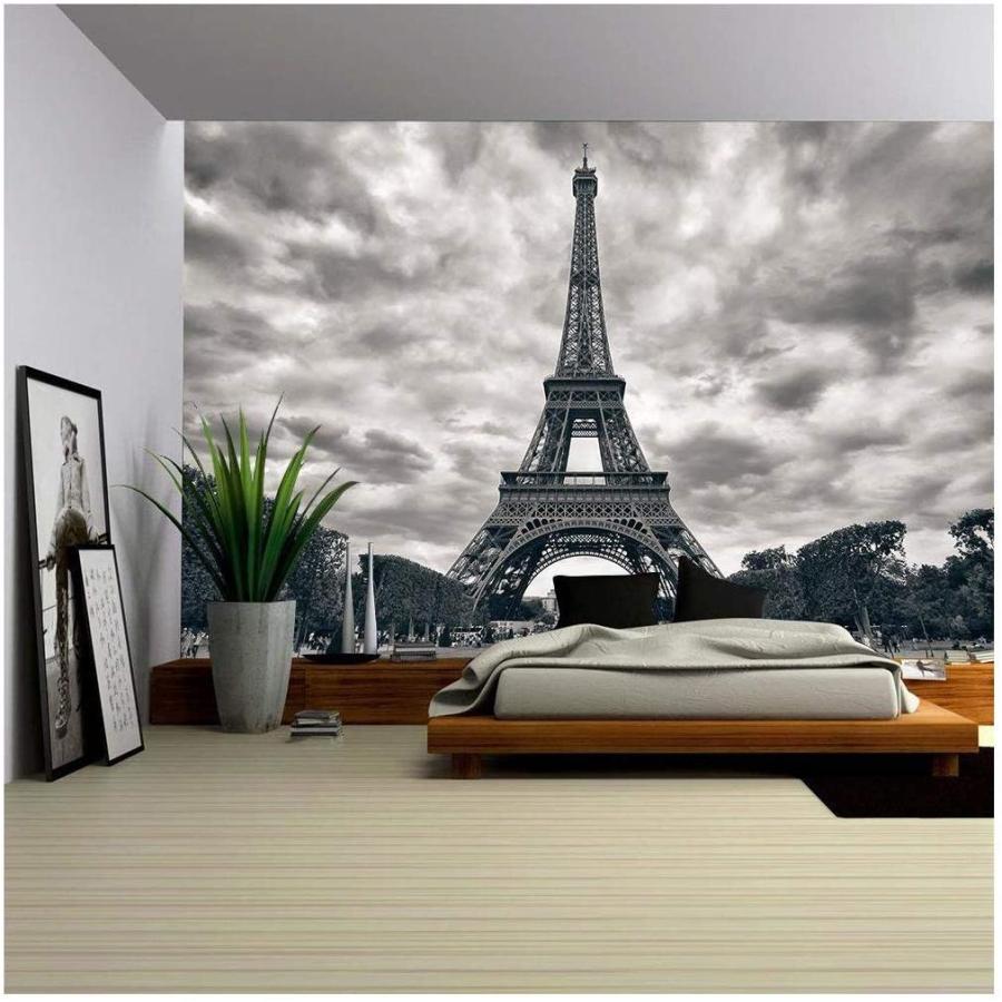 一流の品質 ウォールペーパー 壁紙 劇的な空のモノクロ 並行輸入品 エッフェル塔 取り外し可能な壁の壁画 自己粘着性の大きな壁紙 100x144インチ ウォールステッカー Michiganestateplanning Com