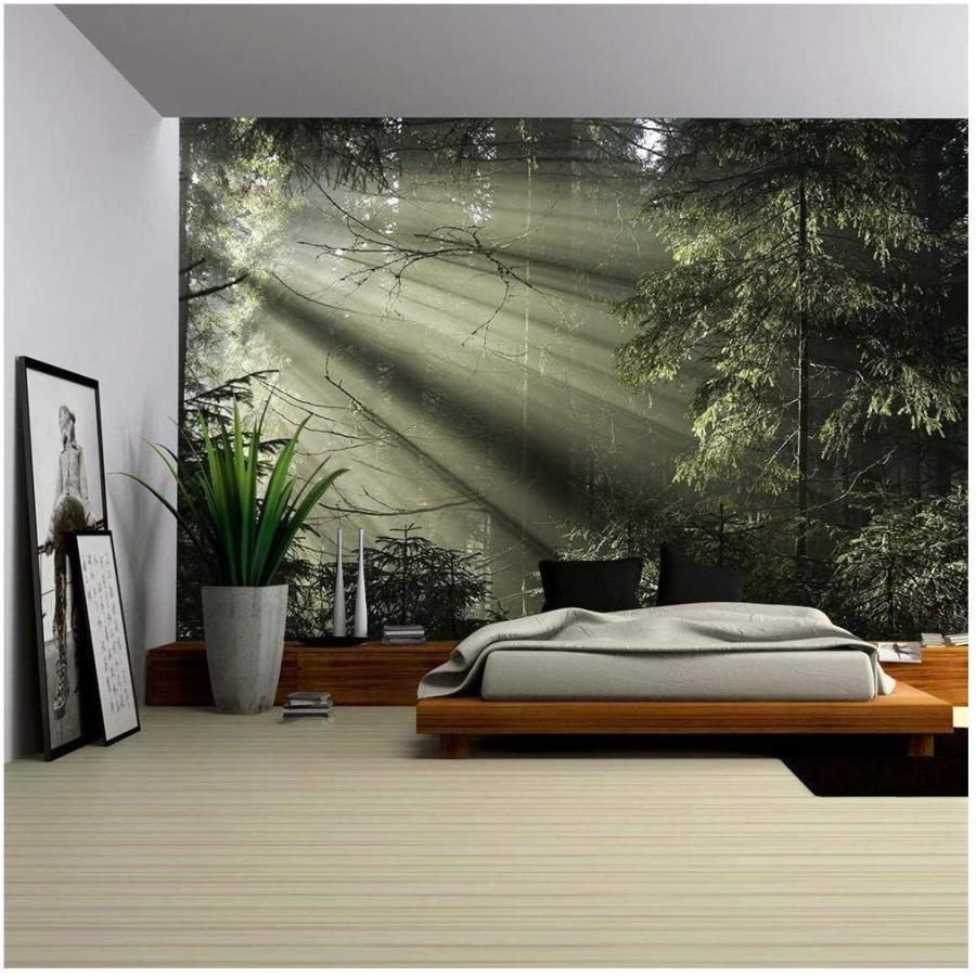 最低価格の ウォールペーパー(壁紙)-カルパティア山脈の木々の間から輝く太陽の光-取り外し可能な壁の壁画-自己粘着性の大きな壁紙-66x96インチ [並行輸入品] ウォールステッカー