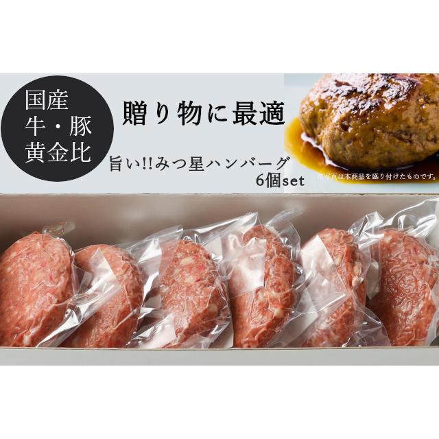 旨い みつ星ハンバーグ 6個セット ウィルモール Paypayモール店 通販 Paypayモール