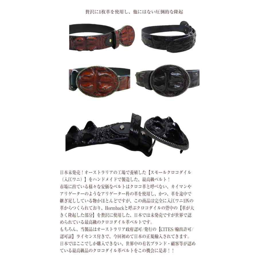 クロコダイル革ベルト オーストラリア産 最高級本クロコダイル1枚革仕立 Hornback部使用 ハンドメイド 最高級ベルト ブラウン  紳士 ワニ革 入手困難の画像