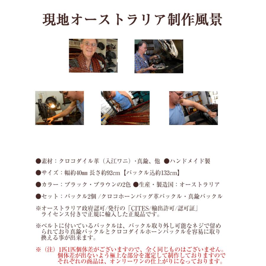 クロコダイル革ベルト オーストラリア産 最高級本クロコダイル1枚革仕立 Hornback部使用 ハンドメイド 最高級ベルト ブラウン  紳士 ワニ革 入手困難の画像