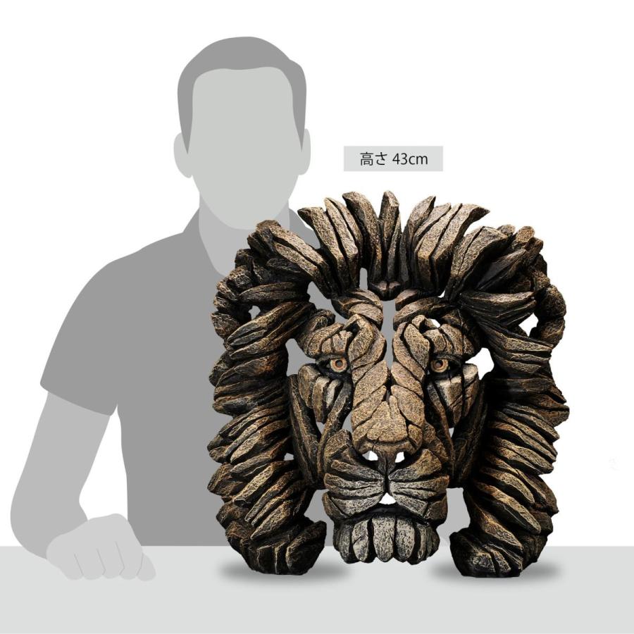 Edge Bust Lion 幅43x奥行29x43(cm) ライオン 胸像ライオン