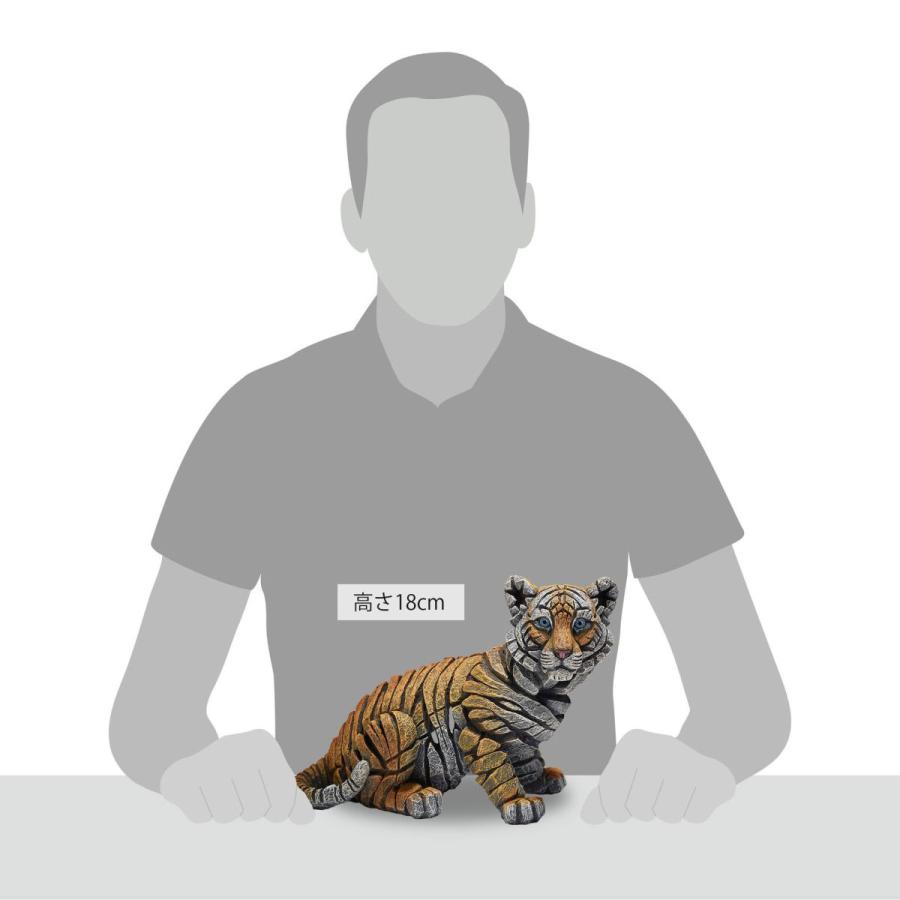 Edge Tiger Cub 幅24.5x奥行13x18(cm) 虎 子供トラ | 彫刻 置物