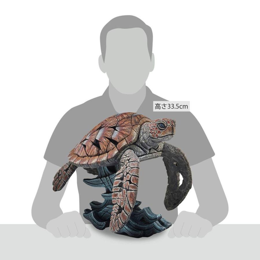 Edge Sea Turtle 幅59.5x奥行20.5x31(cm) 海亀亀 | エッジ 彫刻 置物