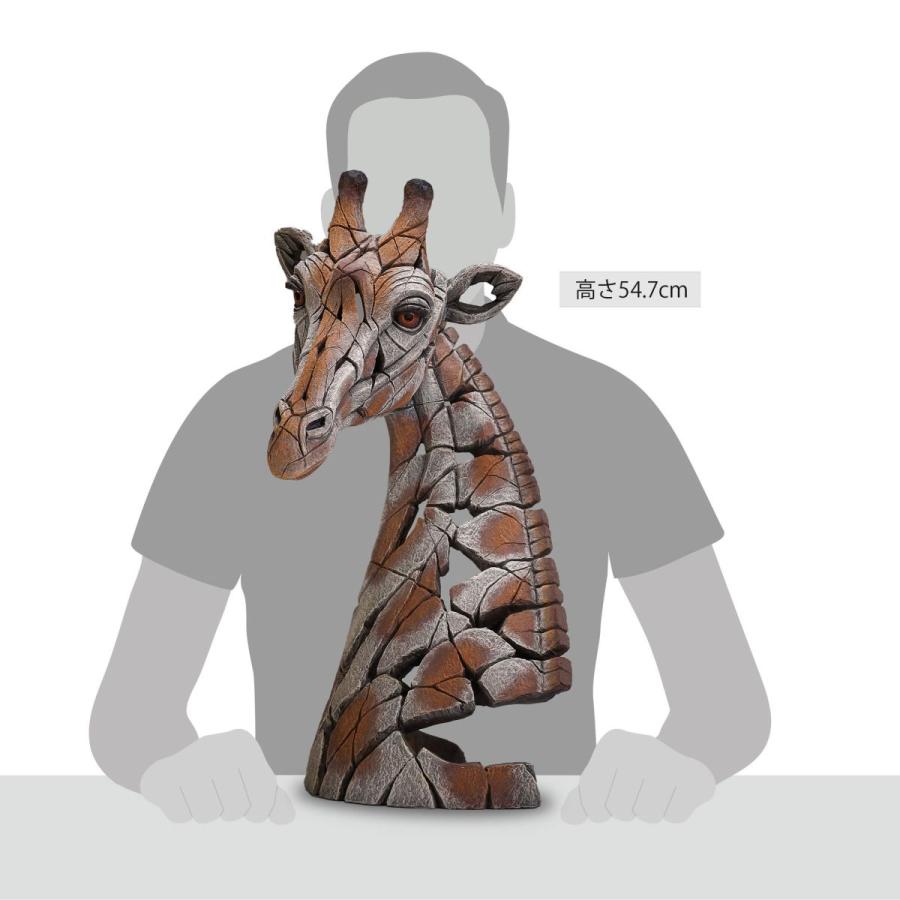 Edge Giraffe 幅27x奥行30.5x54.7(cm) キリン 胸像キリン | 彫刻 置物