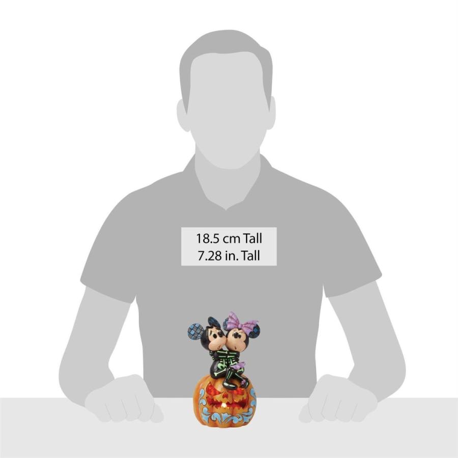 Disney（ディズニー） ミッキー&ミニー スケアード スケルトンズ 18.4