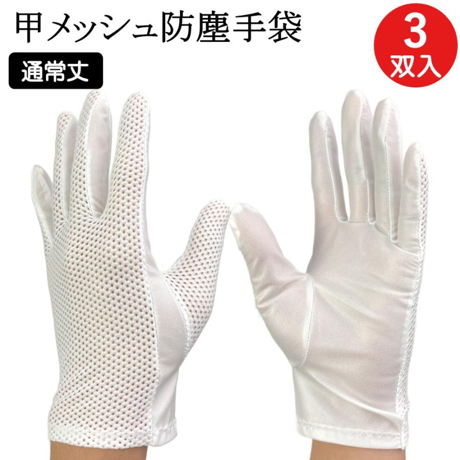 防塵手袋 クリーンルーム クリーンルーム用 手袋 3760 10双 食品