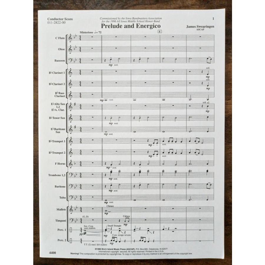 スヴェアリンジェン「永遠の輝き」フルスコア＆パート譜 スヴェアリンジェン「永遠の輝き」フルスコア＆パート譜 楽天