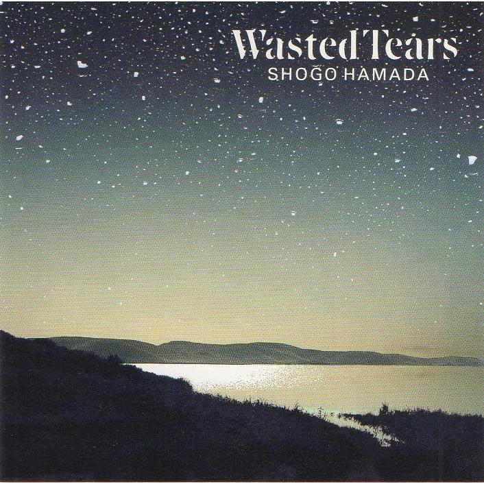 浜田省吾 / Wasted Tears ウェイステッド・ティアーズ 1989.09.01