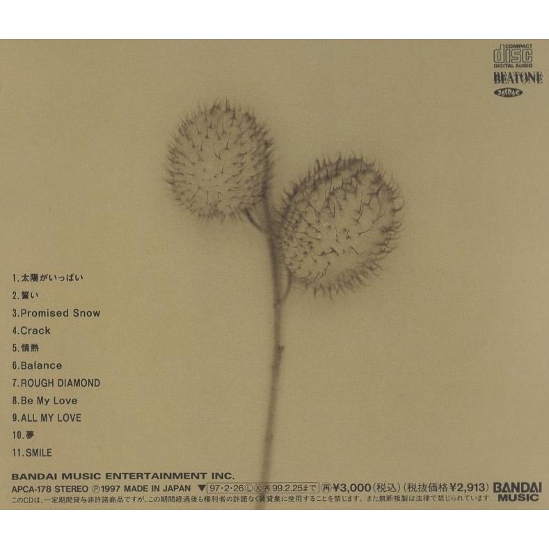徳永英明 / bless ブレス 1997.02.26 10thアルバム APCA-178