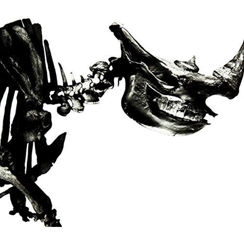 Mr.Children ミスター・チルドレン / 1996-2000 2001.07.11 Mr.Children ミスター・チルドレン / 1996-2000 2001.07.11