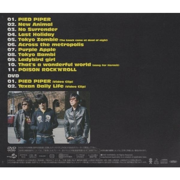the pillows ザ・ピロウズ / PIED PIPER パイド・パイパー 2008.06.25
