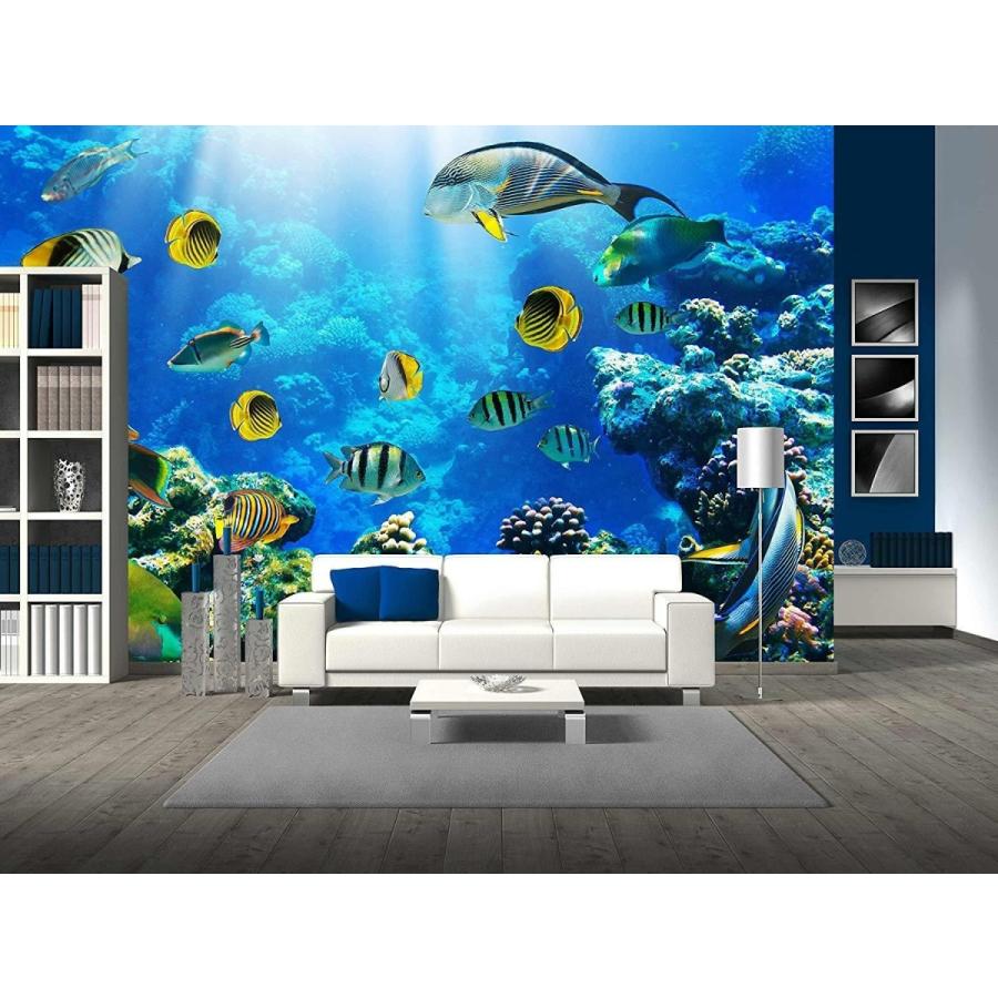 パネルアート 壁 26-サンゴ礁の熱帯魚の写真-CVS - 66x96インチ- show