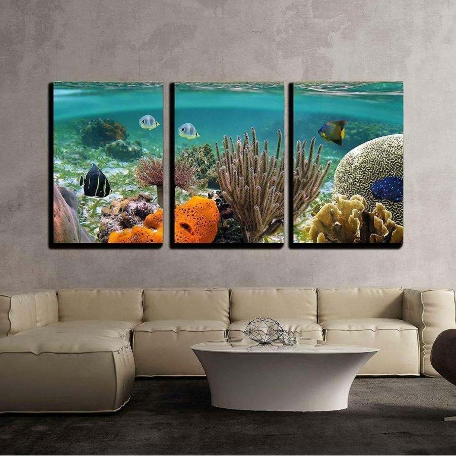 ウォール26 wall26 キャンバスアート 3点セット Tropical 送料無料 ウォール26 wall26 キャンバスアート 3点セット Tropical