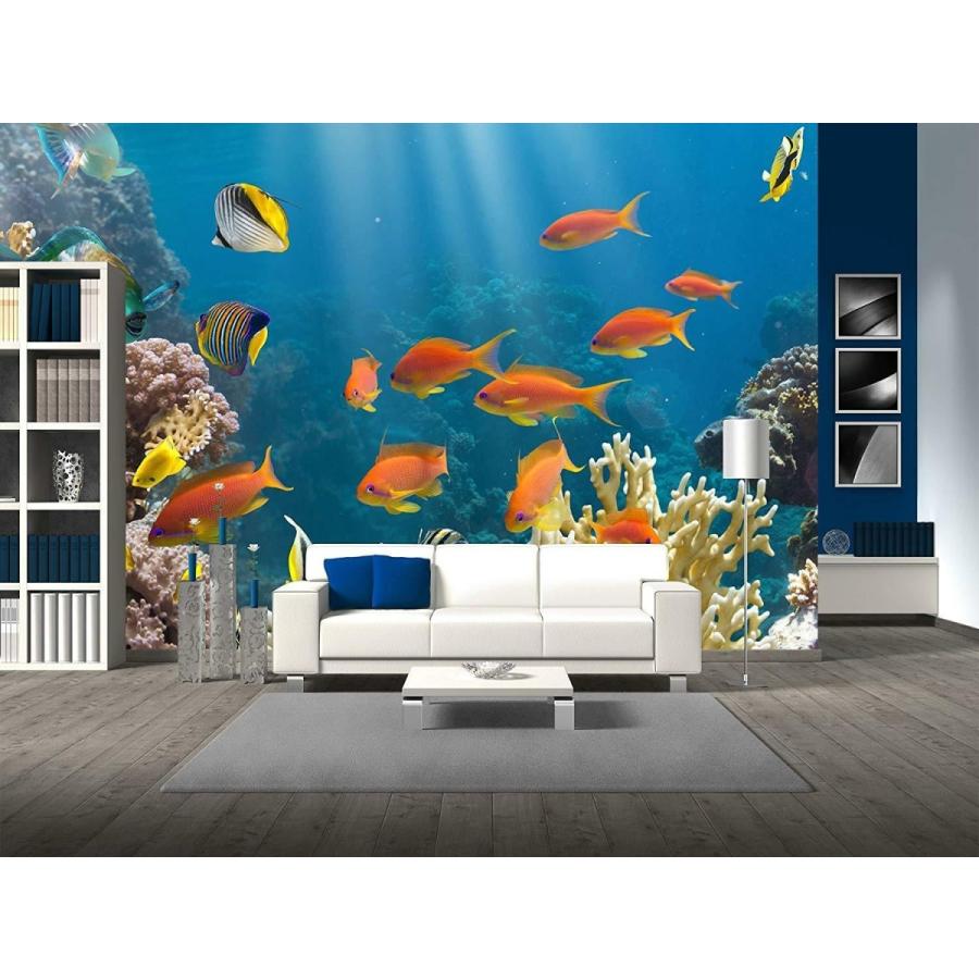 パネルアート 壁 26-紅海エジプトの珊瑚と魚-CVS - 66x96インチ- show