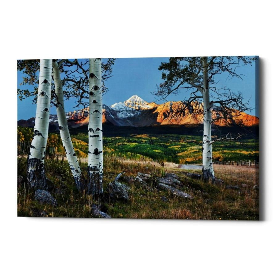パネルアート Epic Graffiti \"Wilson Peak,\" Giclee キャンバス ウォールアート- show original tit