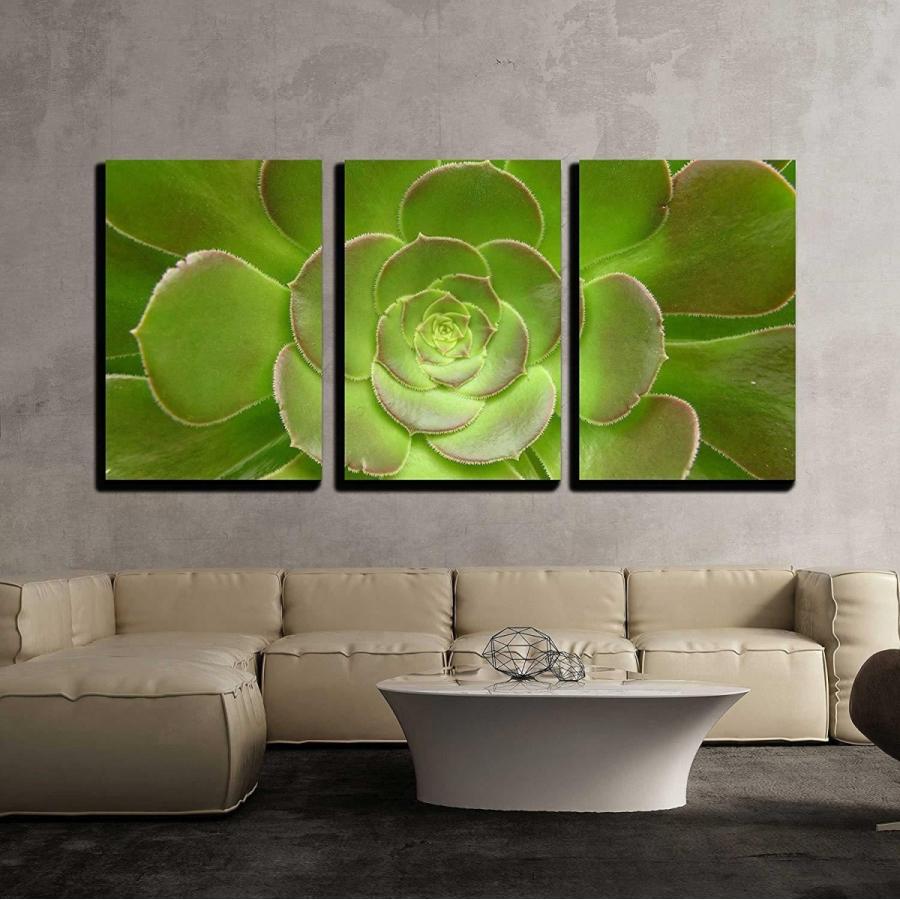 パネルアート Wall 26-a Green Cacti Flower-キャンバス アート ウォール 装飾 - 16 インチx 24 インチx 3 パ