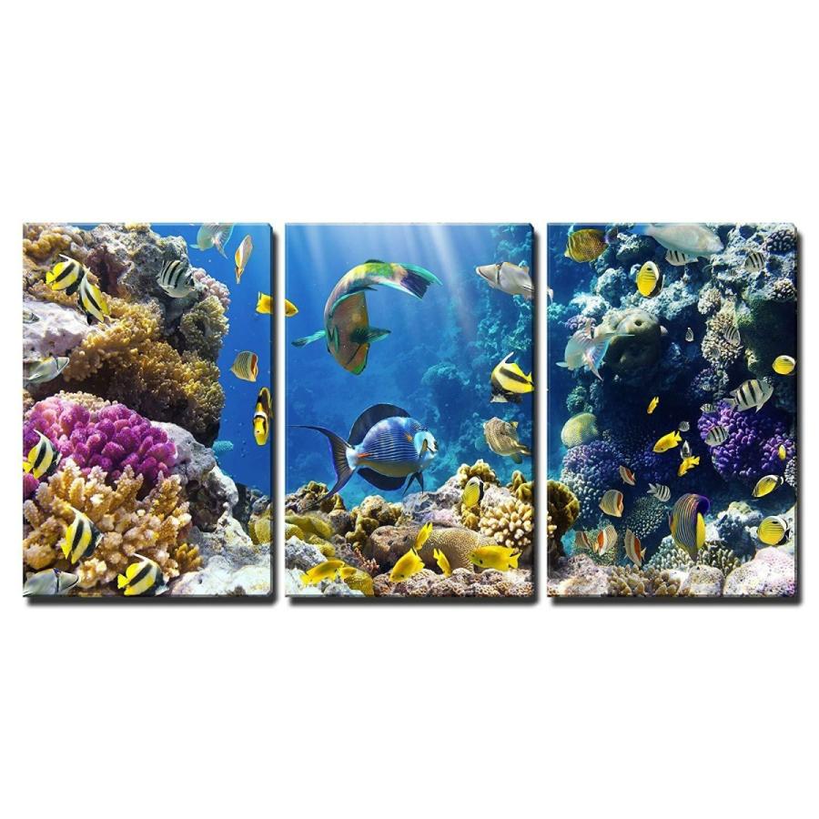 開店祝いWindEraオンラインストアパネルアート 壁 26-サンゴ礁の熱帯魚の写真-CVS original インチx show title 36  インチx 24 パネル- ファブリックパネル
