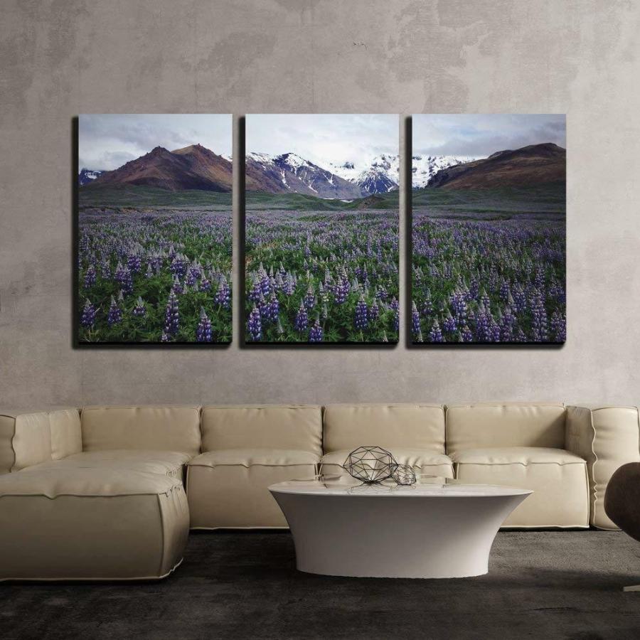 パネルアート Wall 26-Lavender Field in Open Mouantain Ares-CVS 24 インチx 36 インチx