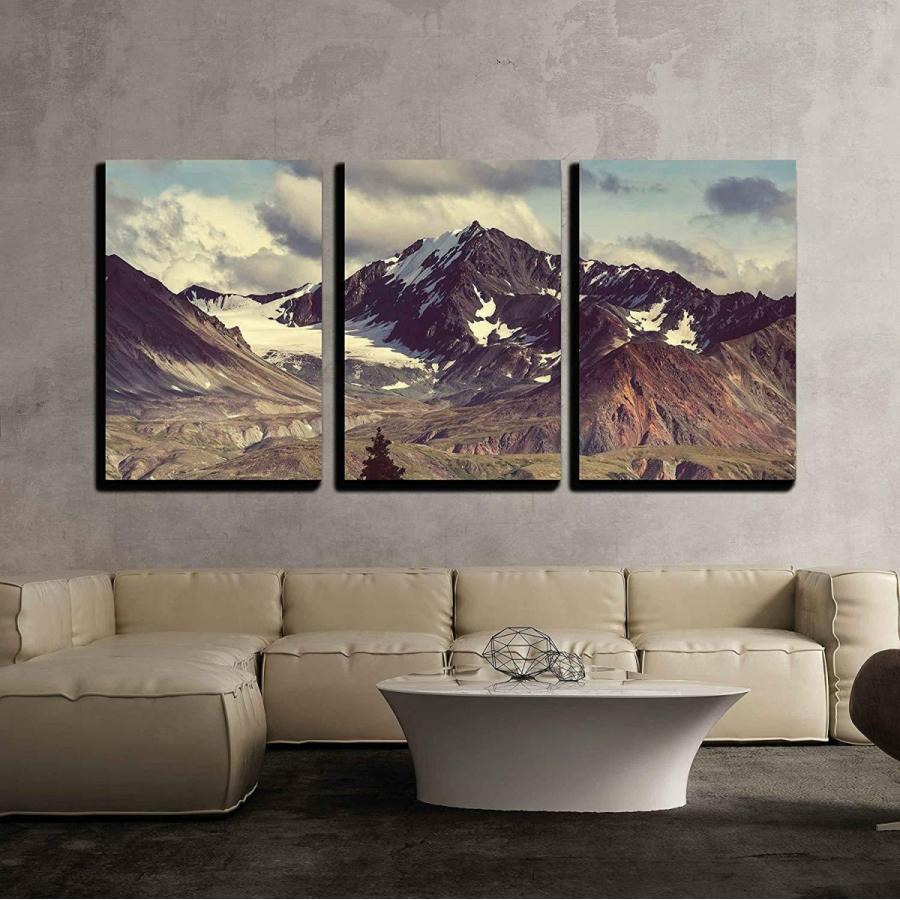 パネルアート 壁 26-アラスカ山脈-キャンバスアートウォール装飾 24 インチx 36 インチx パネル- show original ti