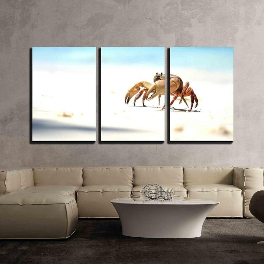 パネルアート Wall 26-the Crab on the Beach-キャンバスアート壁装飾 24 インチx 36 インチx パネル- s