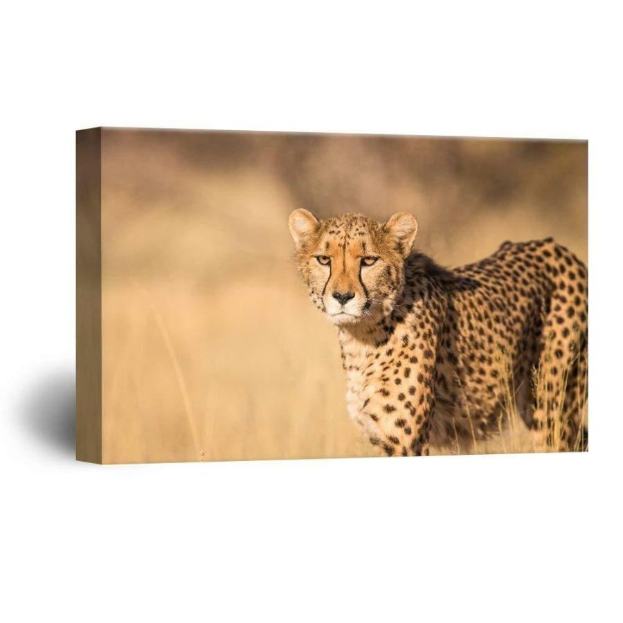 パネルアート 壁 26-A Leopard's Gaze Gallery-キャンバス アート 壁装飾 - 32x48インチ- show origina