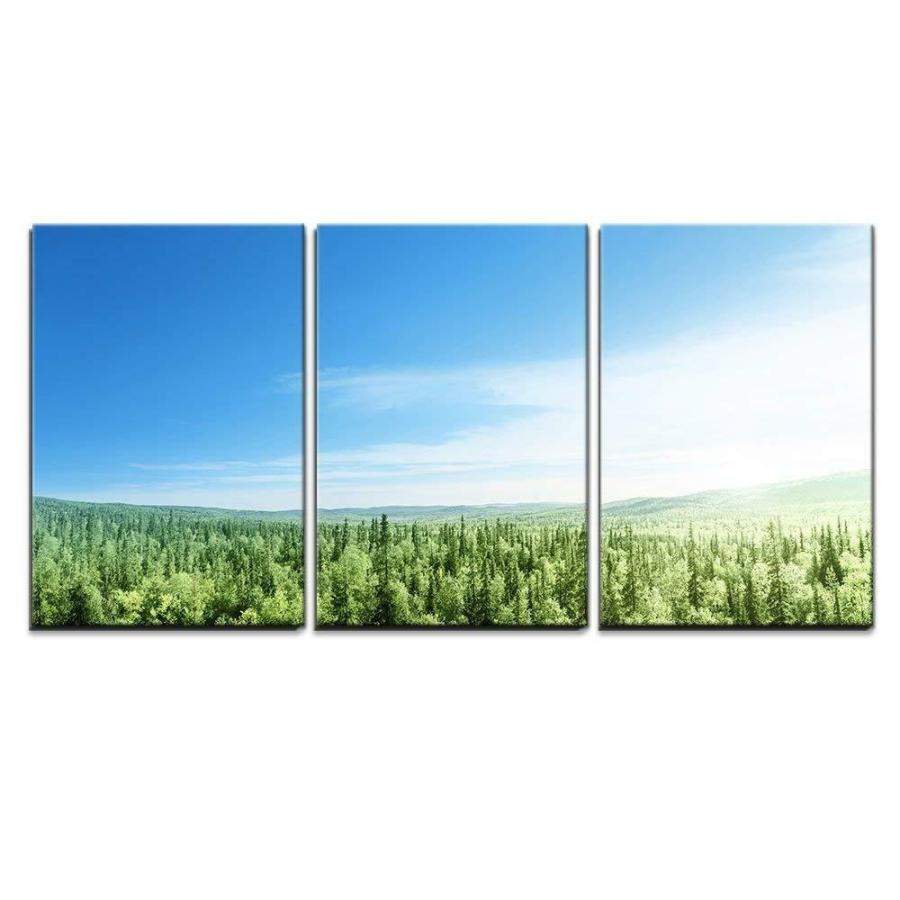 パネルアート Wall 26-Forest in Sunset Time-Canvas Art Decor