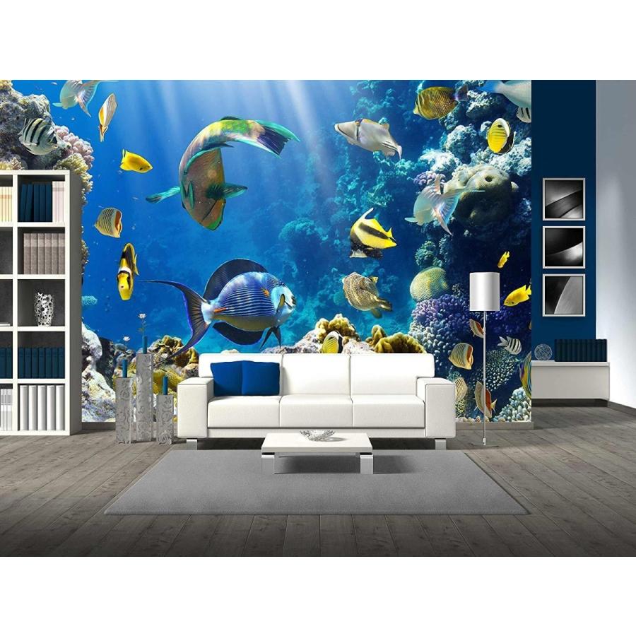 パネルアート 壁 26-サンゴ礁の熱帯魚の写真-CVS - 66x96インチ- show original title