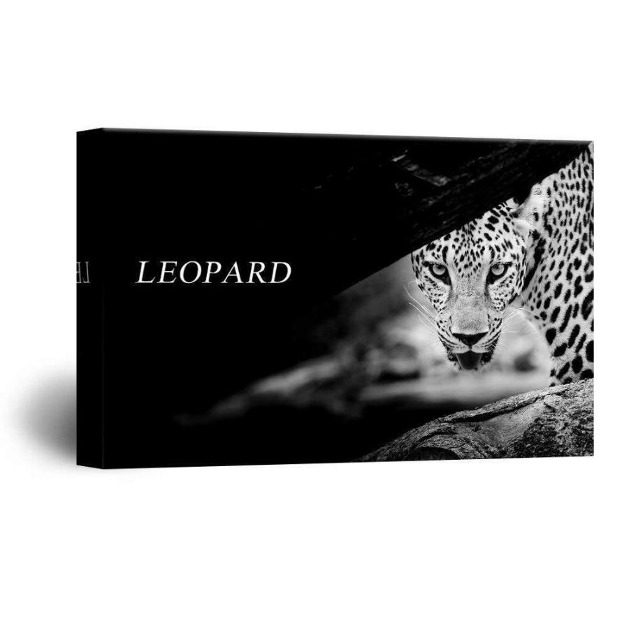 パネルアート Wall 26-Leopard Staring at the Right Front Gallery-CVS - 32x48インチ- s