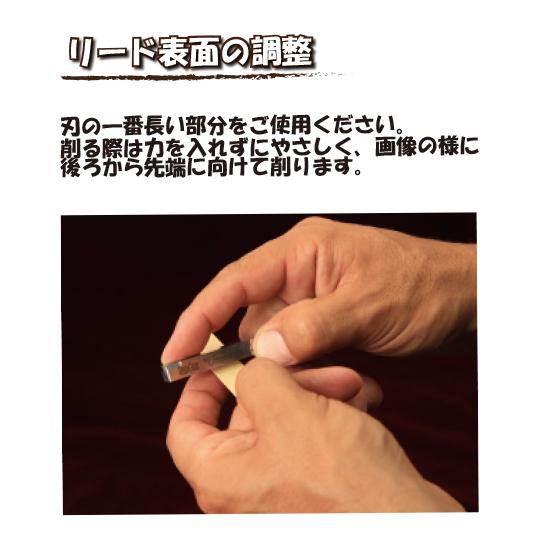 REED GEEK リードギーク Black Diamond G4 サックス