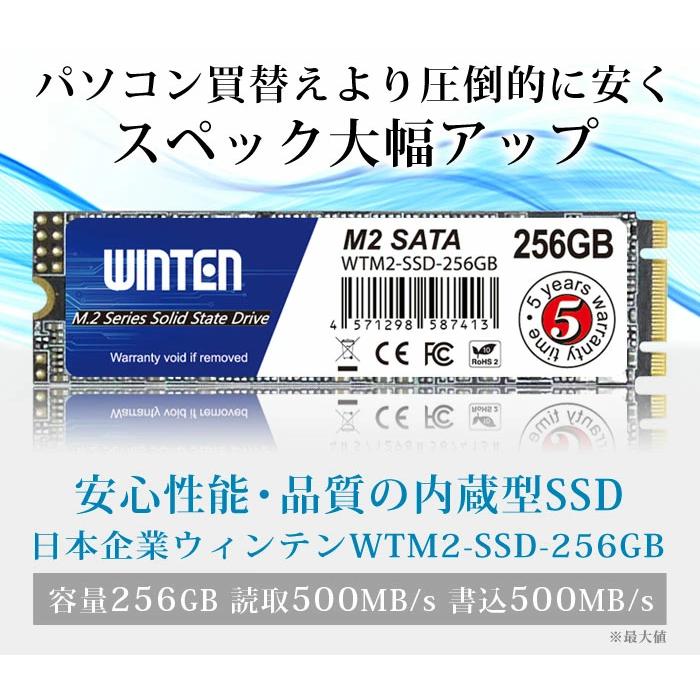 WINTEN 【外付けケースセット】WINTEN SSD M.2 256GB【5年保証】M.2