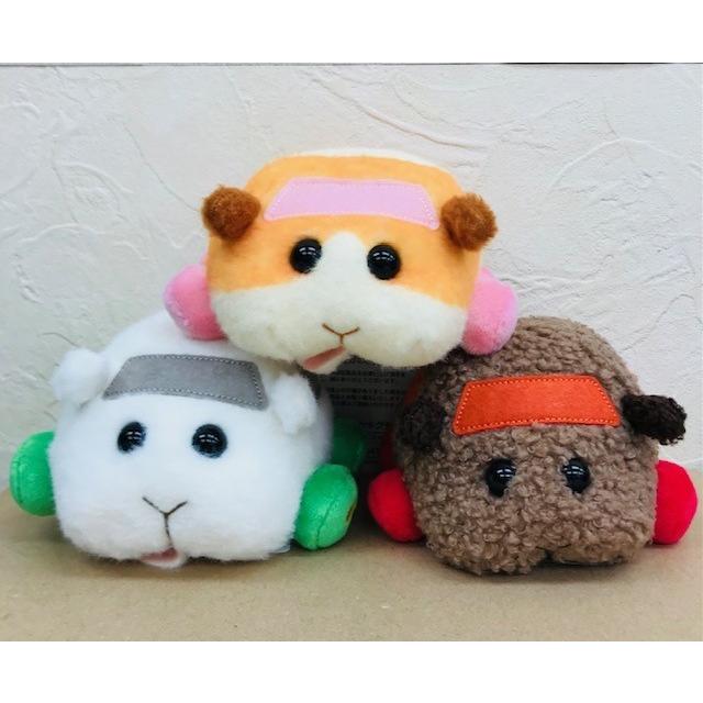 セキグチ セキグチ PUI PUI モルカー キュッキュッと鳴く セキグチ セキグチ PUI PUI モルカー キュッキュッと鳴く