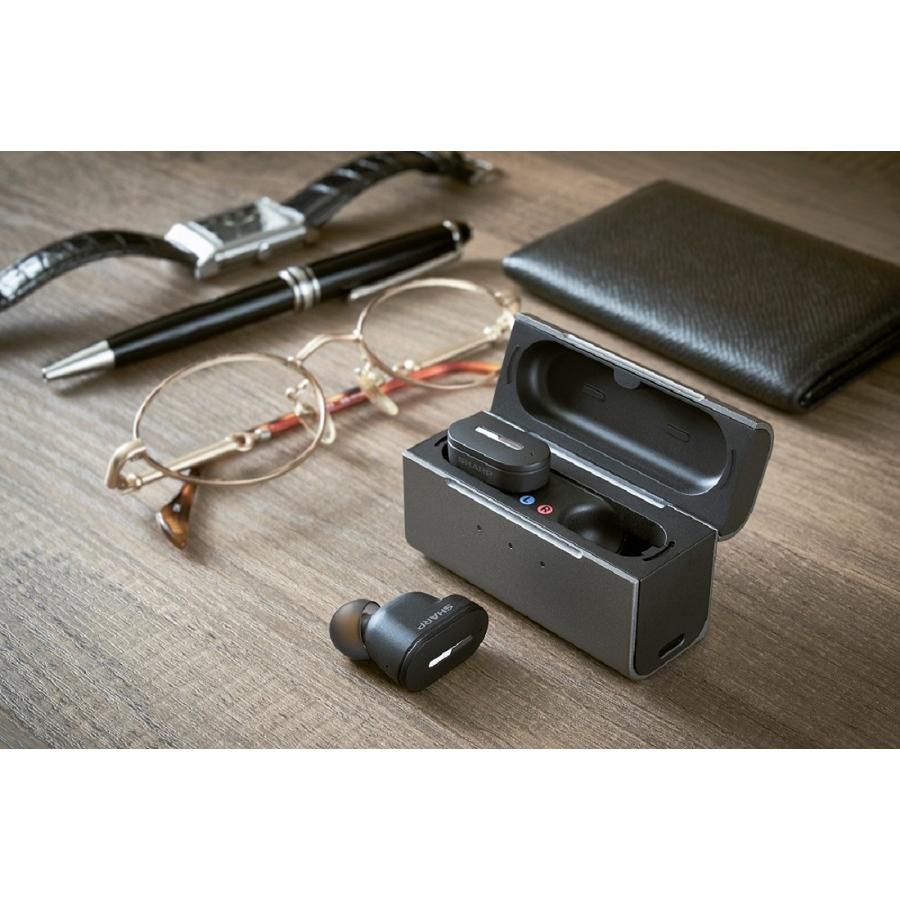 SHARP シャープ 耳あな型補聴器 メディカルリスニングプラグ 軽度
