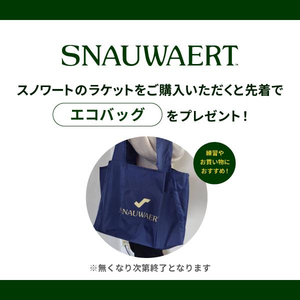 スノワート ビタス 115 SNAUWAERT Vitas115 SRV401 硬式テニスラケット