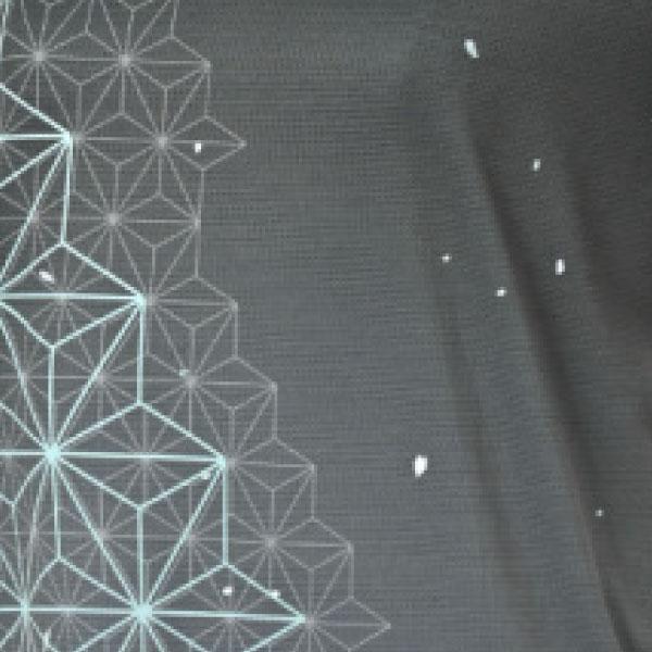 GOSEN（ゴーセン） ゲームシャツ T2501-39 GOSEN LS レディース 25SS