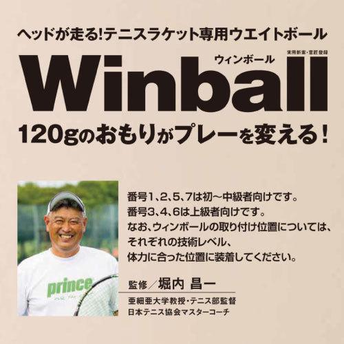 ウィンボール WI-120 重さ120g トレーニング用 （内田販売システム）｜windsorracket-online｜03