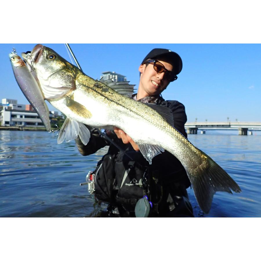 Megabass - メガバス　メガドッグ　Megabass　MEGADOG　サンセットレインボー 予約：10月末～11月末発送】MEGADOG(メガドッグ) ライブ
