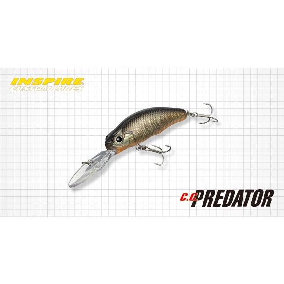 EverGreen（エバーグリーン） CCプレデターPREDATOR #120イマカツ
