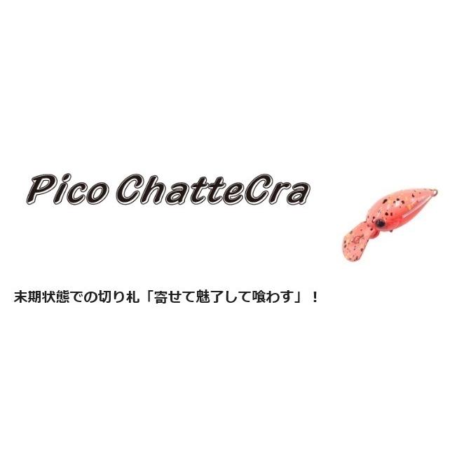 DAYSPROUT（ディスプラウト） ピコチャタクラDR-SS 玄米茶 : ウインズ