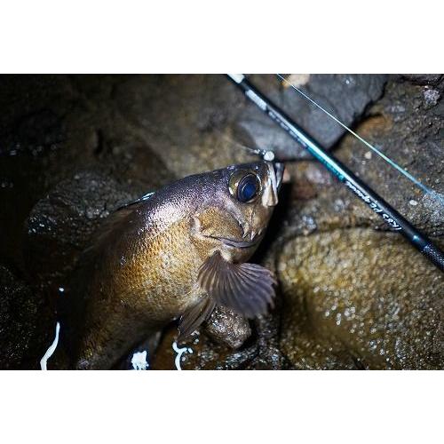 BREADEN ブリーデン グラマーロックフィッシュGlamourRockFish BREADEN ブリーデン グラマーロックフィッシュGlamourRockFish