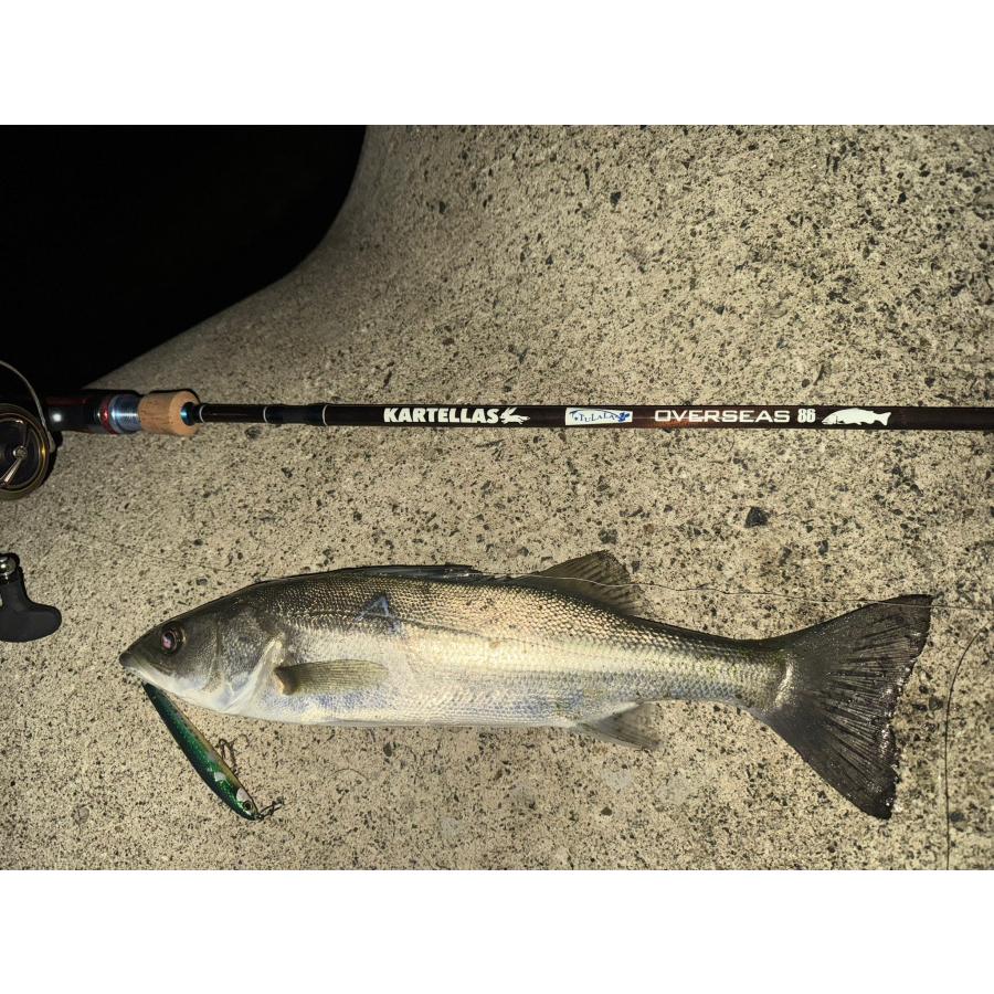 TULALA カルテラス X ツララ オーバーシーズOVERSEAS 86 : ウインズ