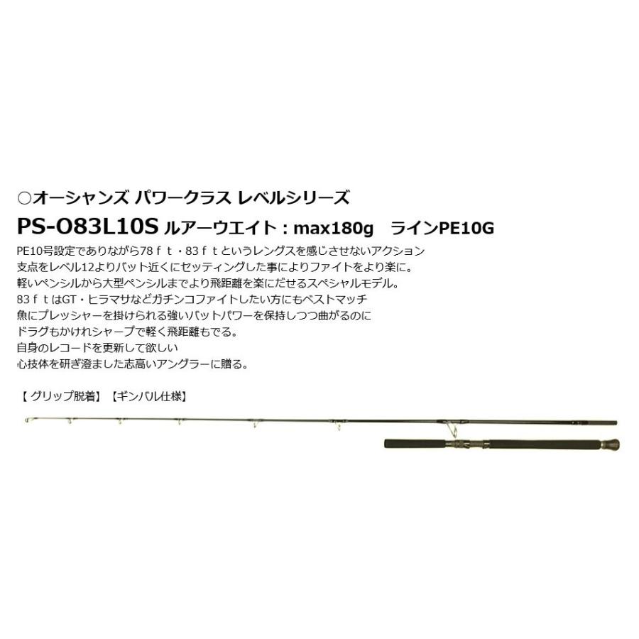 SOULS ソウルズ PS-O83L10S オーシャンズ パワークラス レベル