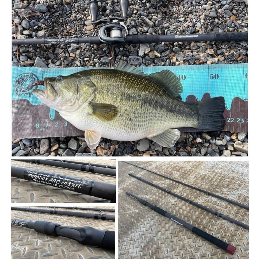 期間限定値引き　パラドックス　spn67ml スタジオコンポジット PARADOX SPN 67 ML II LTD スタジオコンポジット (パラドックス