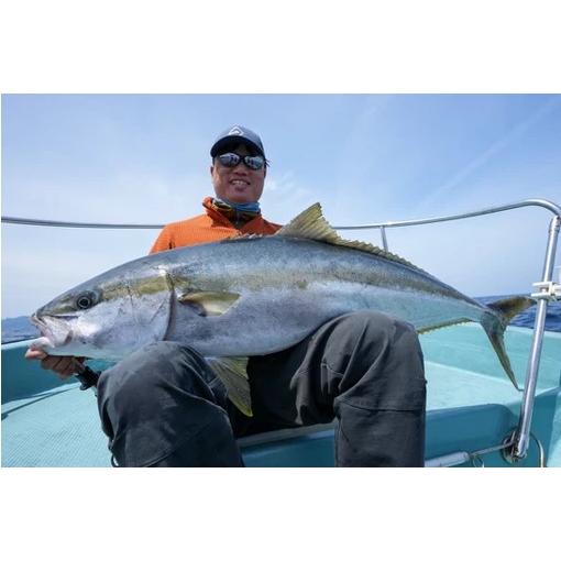 トランスセンデンス ギブリGhibli 80S : ウインズヤフー店 - 通販