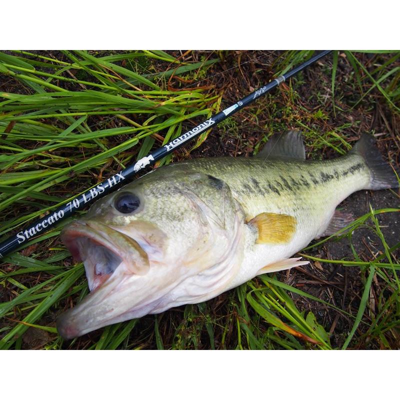 TULALA ツララ ハーモニクス スタッカート70LBS-HX : ウインズ TULALA ツララ ハーモニクス スタッカート70LBS-HX : ウインズ