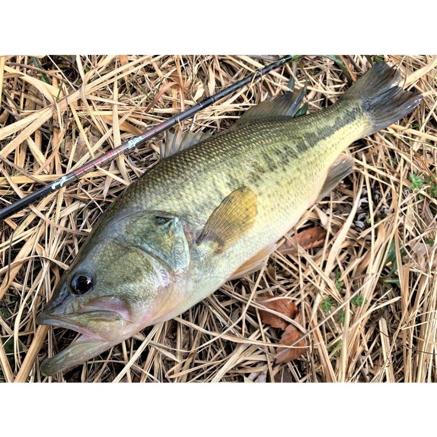 ツララ　gloovy 60s 新品未使用　新製品 ツララ(TULALA) FLIGHTEX グルーヴィ 60S(Groovy 60S) ツララ