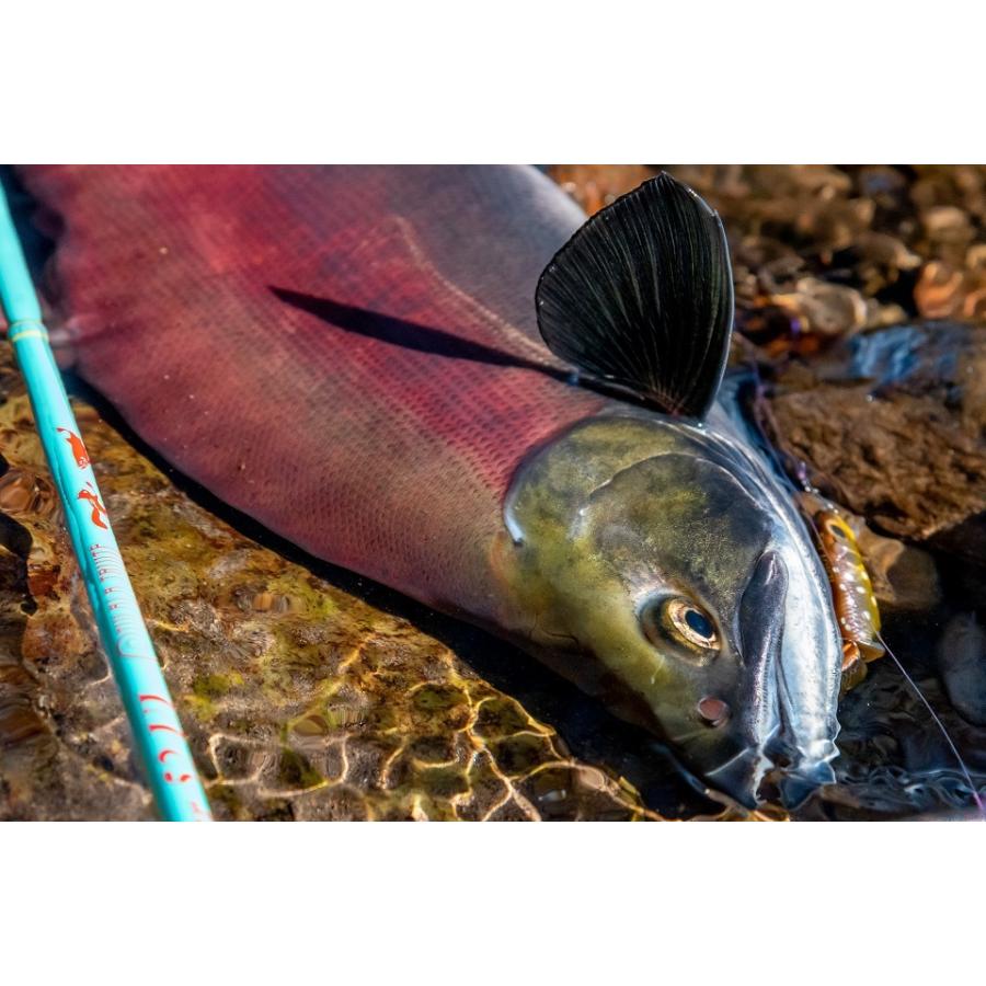 TULALA ツララ トリュテTRUITE ソルシエSorcier52UL : ウインズヤフー