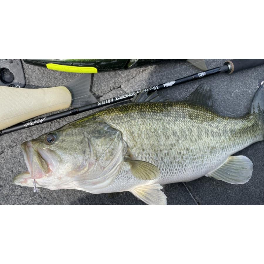 TULALA ツララ モンストロMonstruo ”ConceptDestruction”68ULS